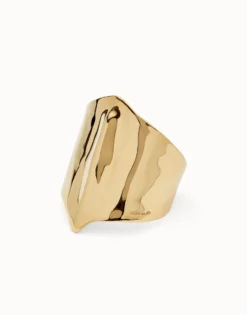 Bangle bracelet with manta ray structure