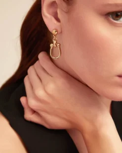 Drop earrings with medium sized link