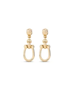 Drop earrings with medium sized link