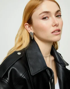 Earrings with wing design
