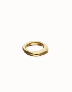 Geometric Ring