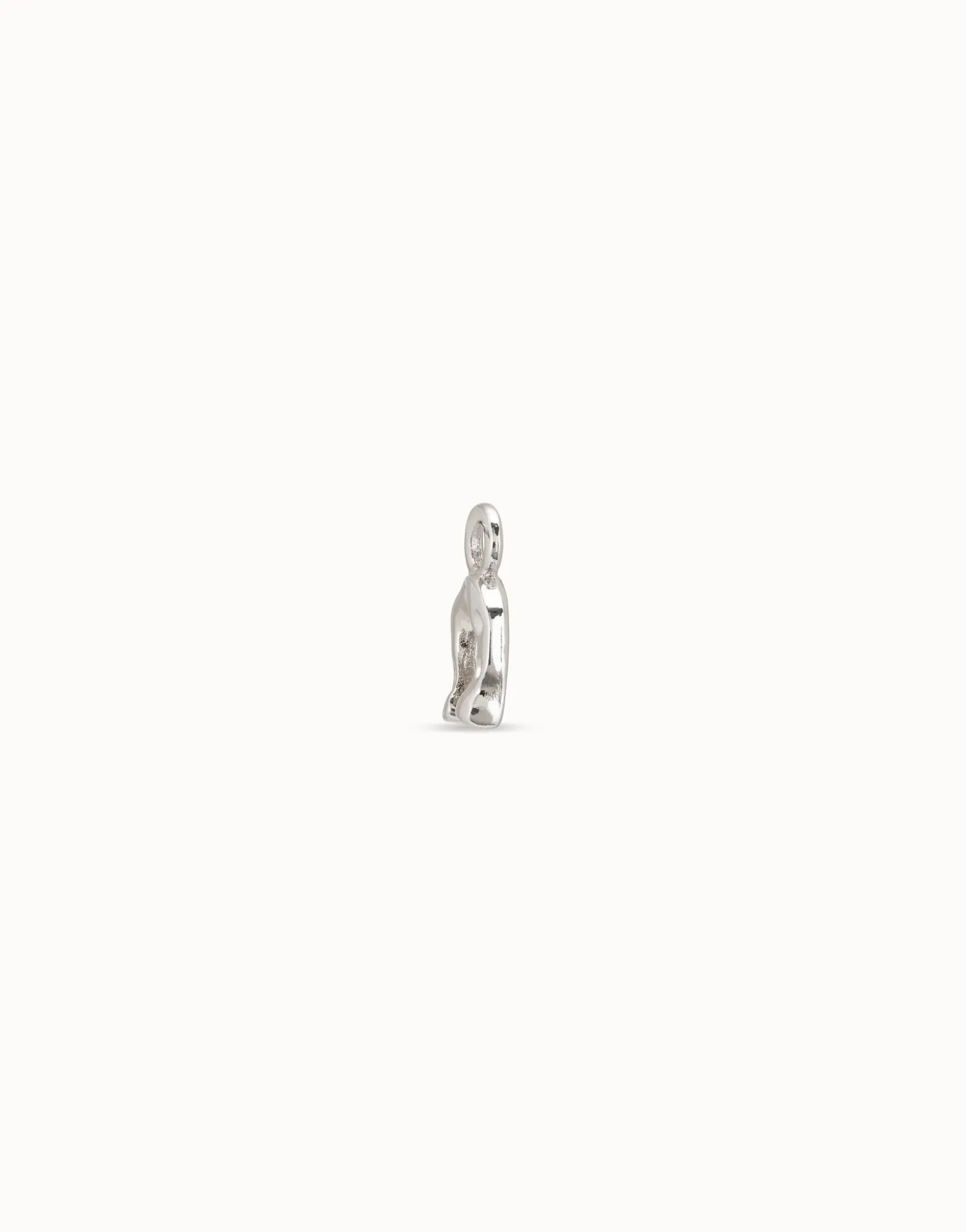 Horseshoe Single Hoop Charm