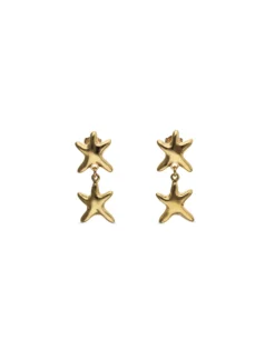 Long earrings with 2 starfishes