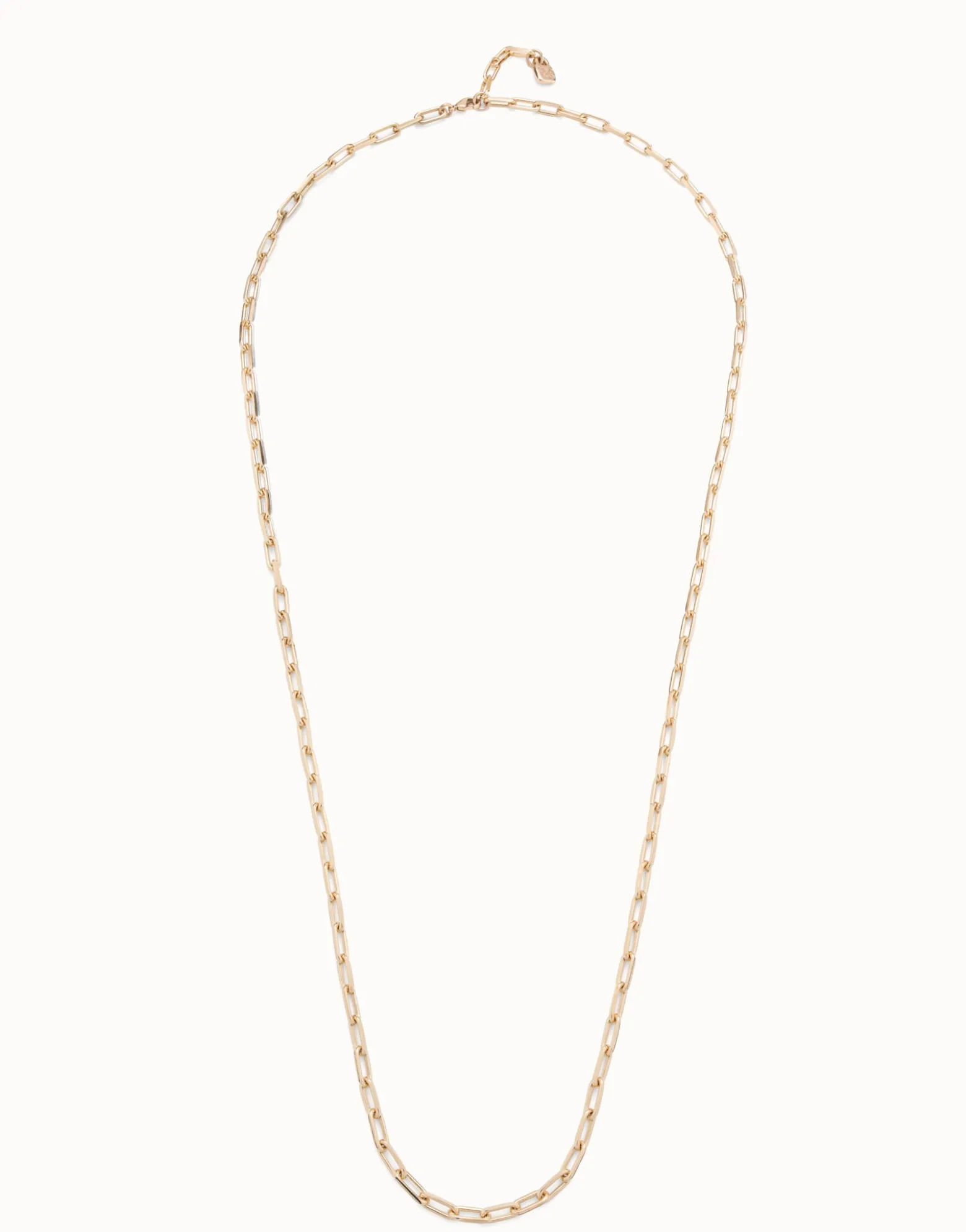 Long link chain charm necklace