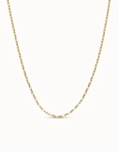 Long link chain necklace