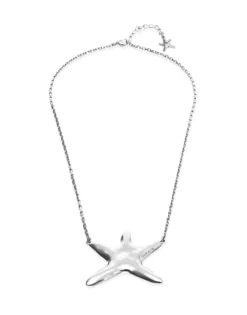 Long necklace with starfish