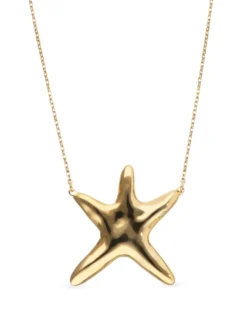 Long necklace with starfish