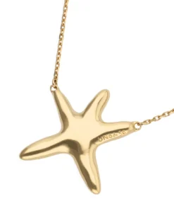 Long necklace with starfish