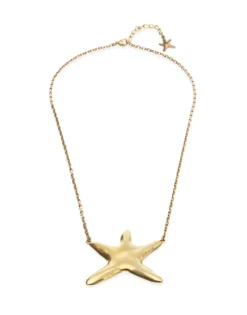 Long necklace with starfish