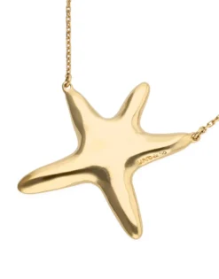 Medium necklace with starfish