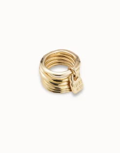 Multi row ring with a charm