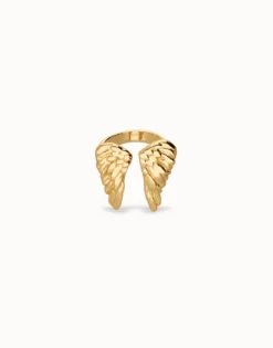 Ring with wing design