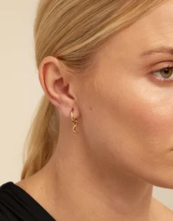 Single Hoop Earring