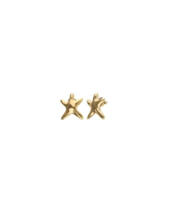 Small starfish earrings