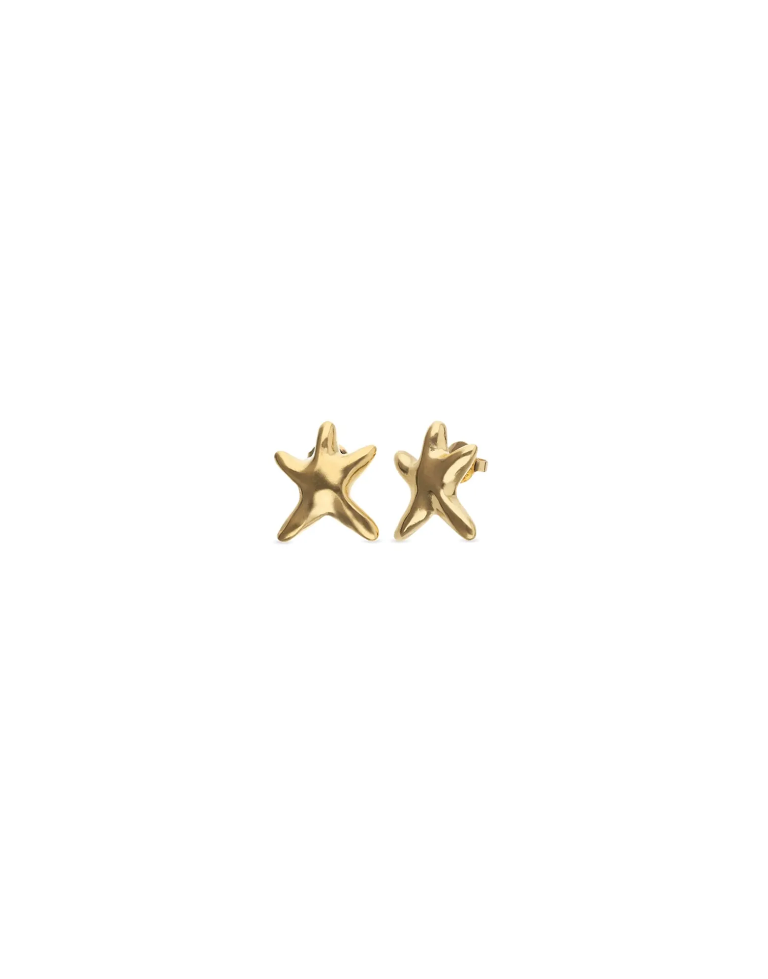 Small starfish earrings