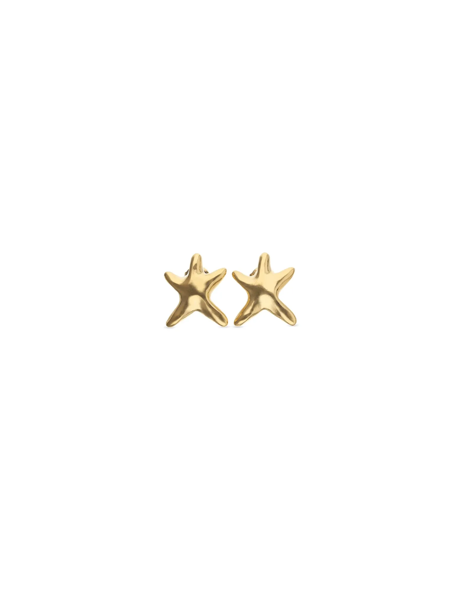 Small starfish earrings