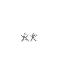 Small starfish earrings