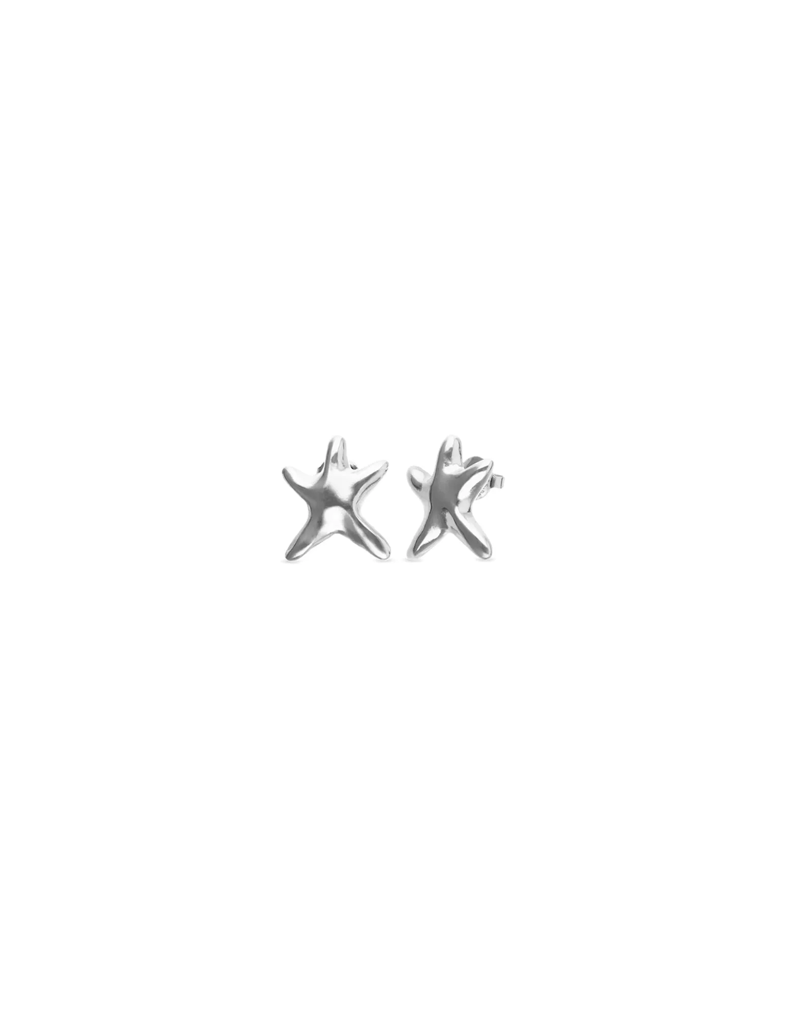 Small starfish earrings