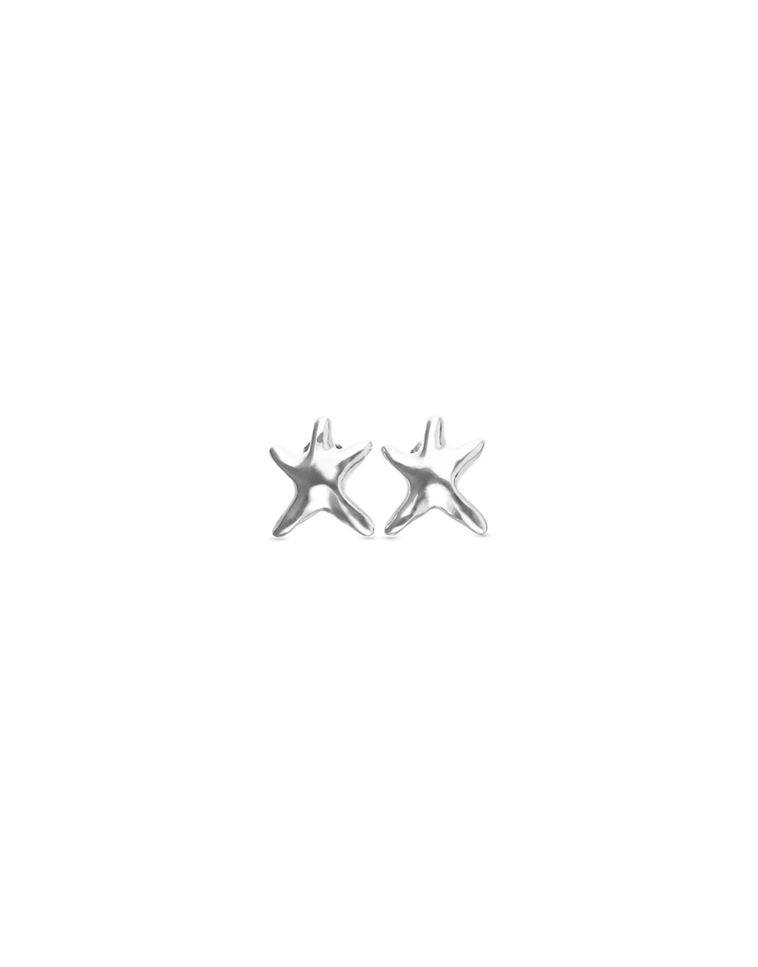 Small starfish earrings